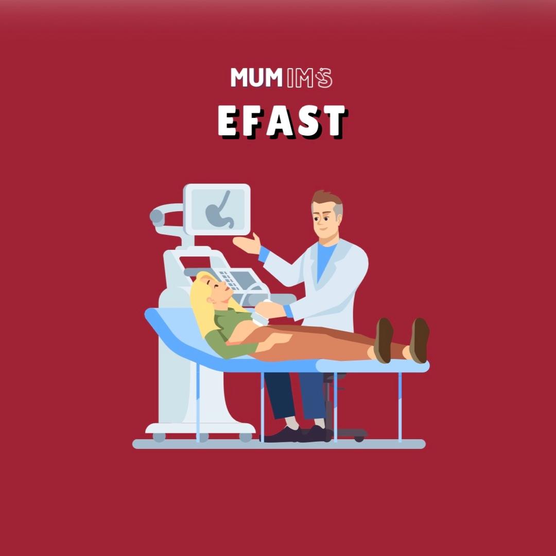 EMED 4 Ultrasound basics