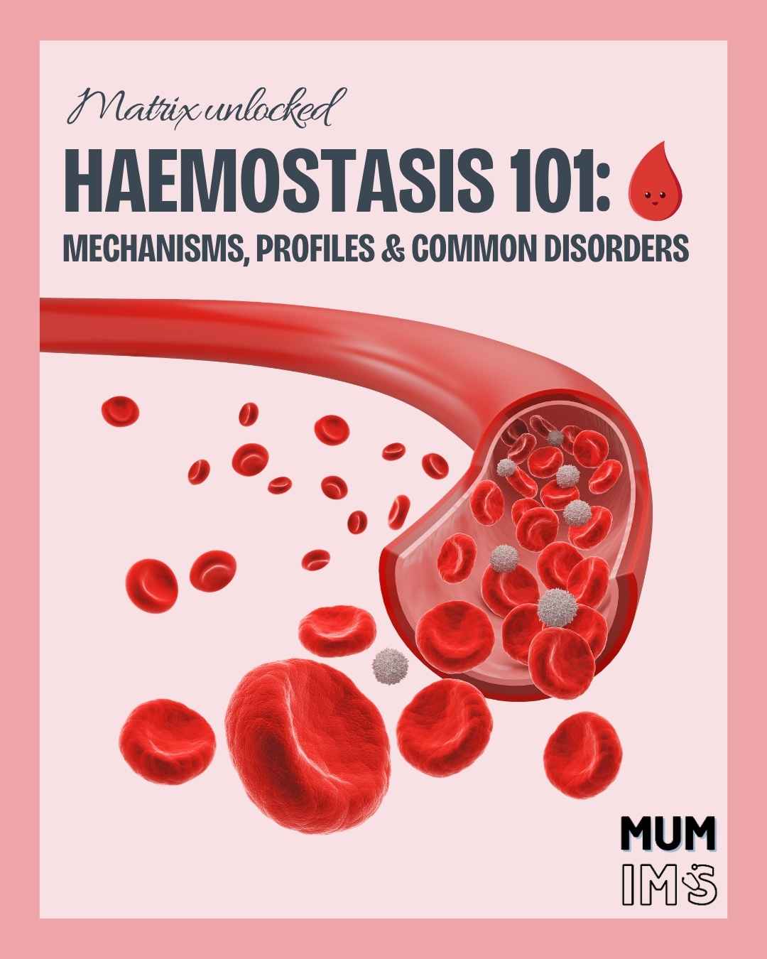 Haemostasis Factsheet